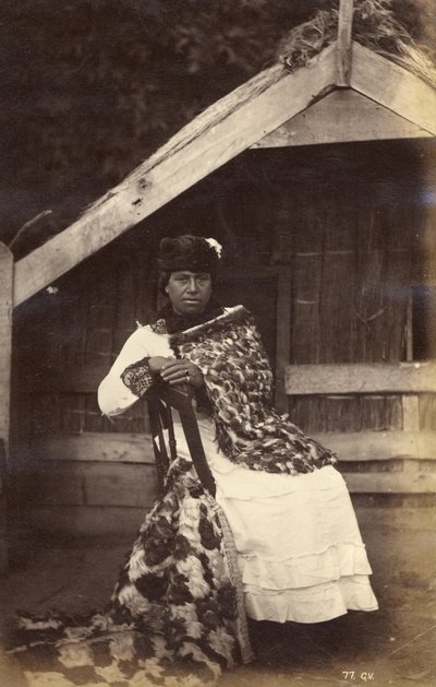 Kate kalauz, Te Wairoa, 1885 (albumin nyomat) alkotó: George Dobson Valentine